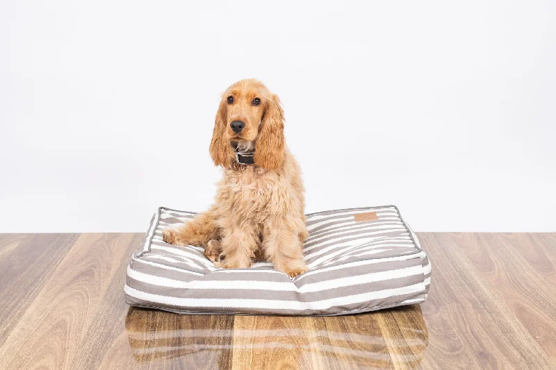 Cushion Dog Bed - Latte Hampton Stripe