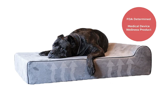 Infrared Orthopedic Dog Bed