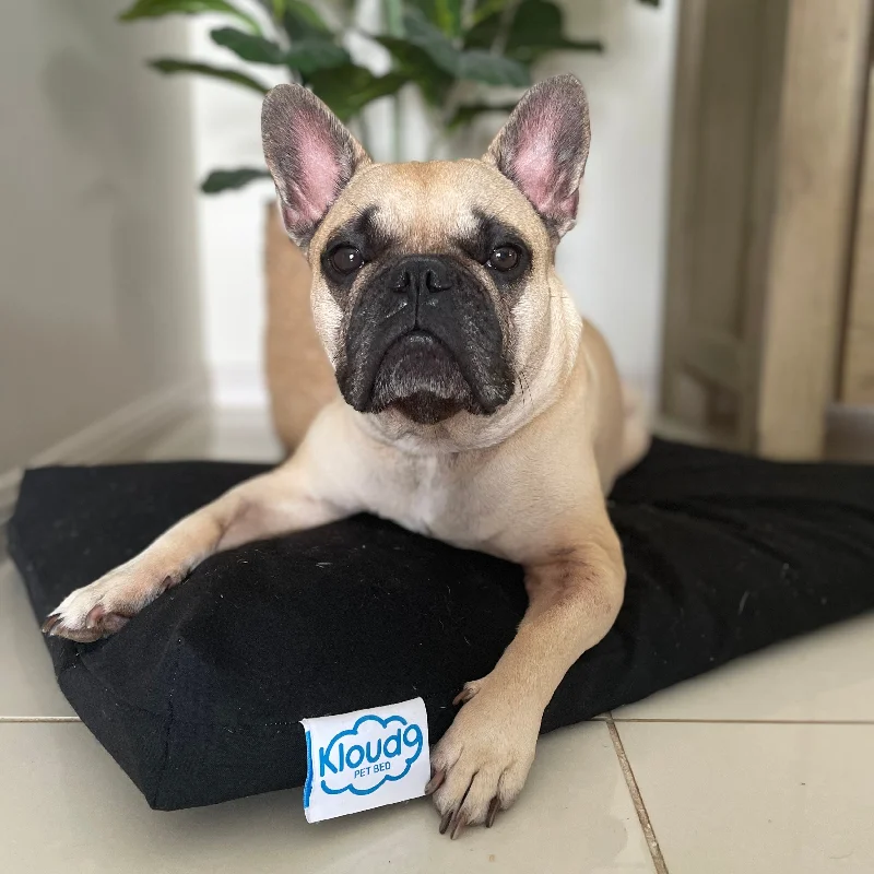 Kloud9 Calming Dog Bed