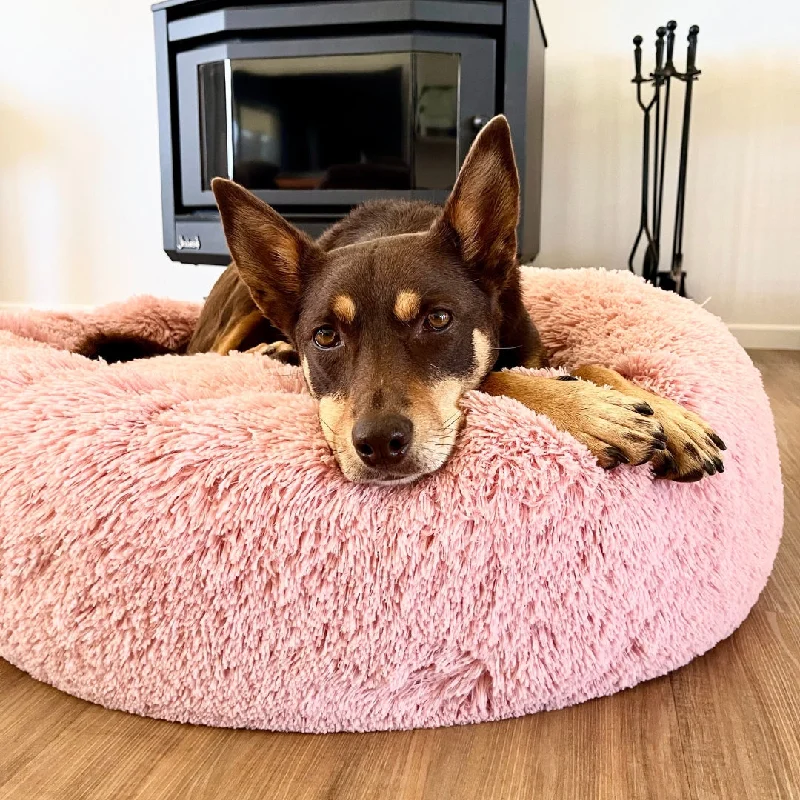 Kloud9 Teddy - Australia's Best Calming Dog Bed