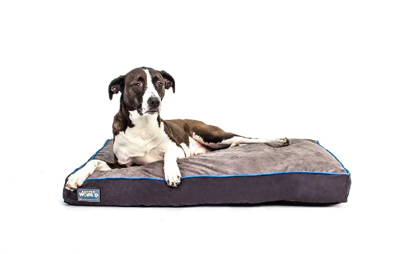 Thick Orthopedic Dog Bed