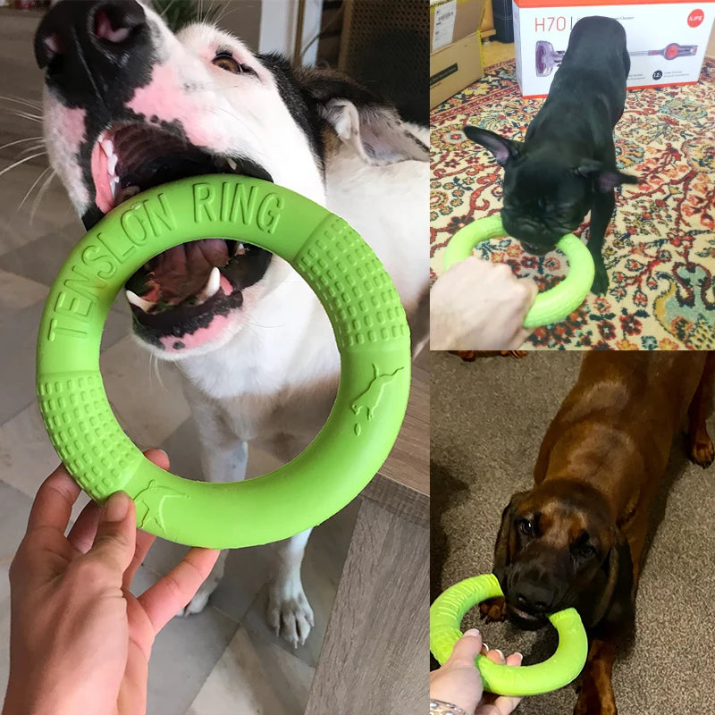 Interactive Training Ring Puller Resistant for Dogs