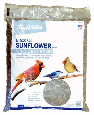 Black Sunflower Bird Seed, 10-Lb.