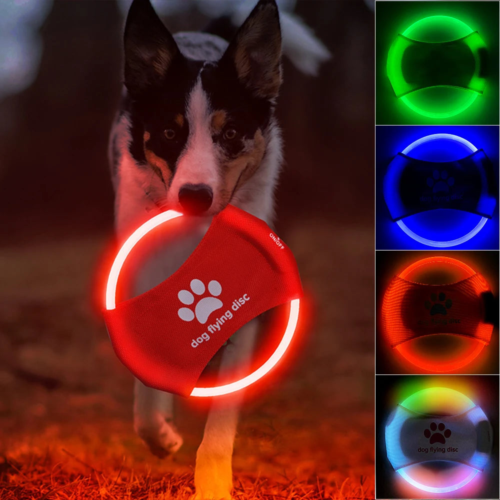 Light Glowing LED luminous Training Interactive Toys