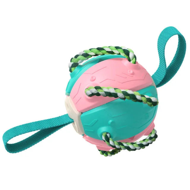 Pink/Blue : Dog Toy