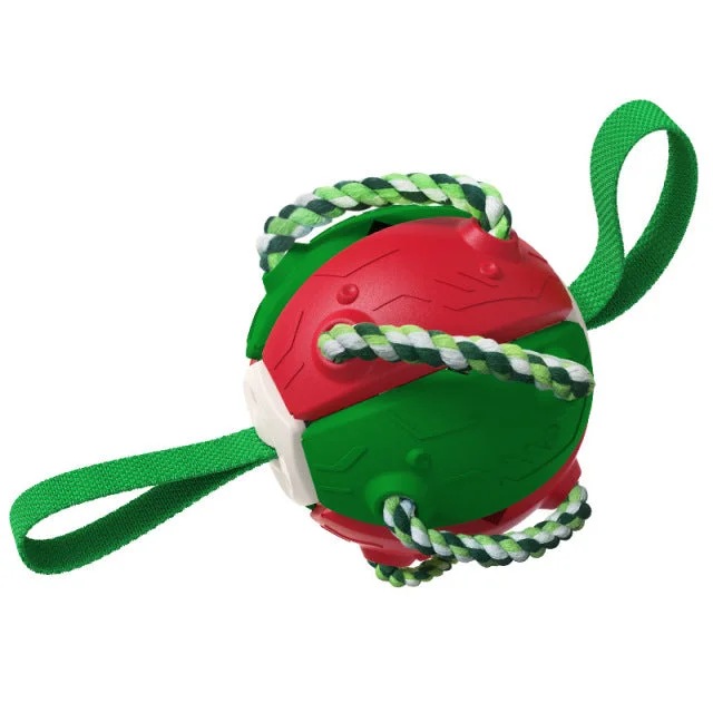 Red/Green : Dog Toy