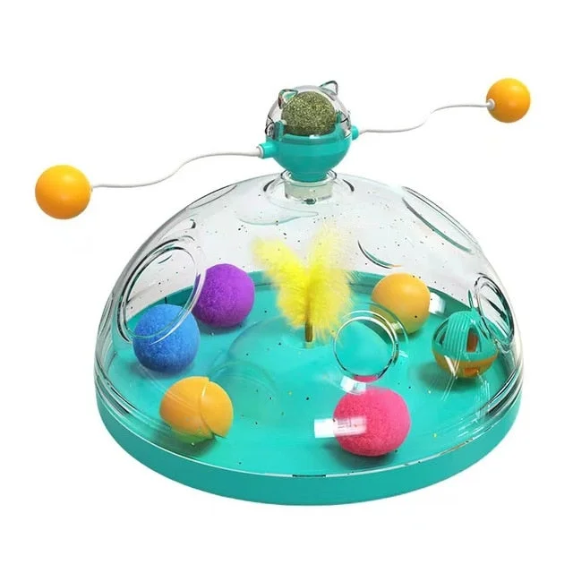 Turquoise : Pet Play Center