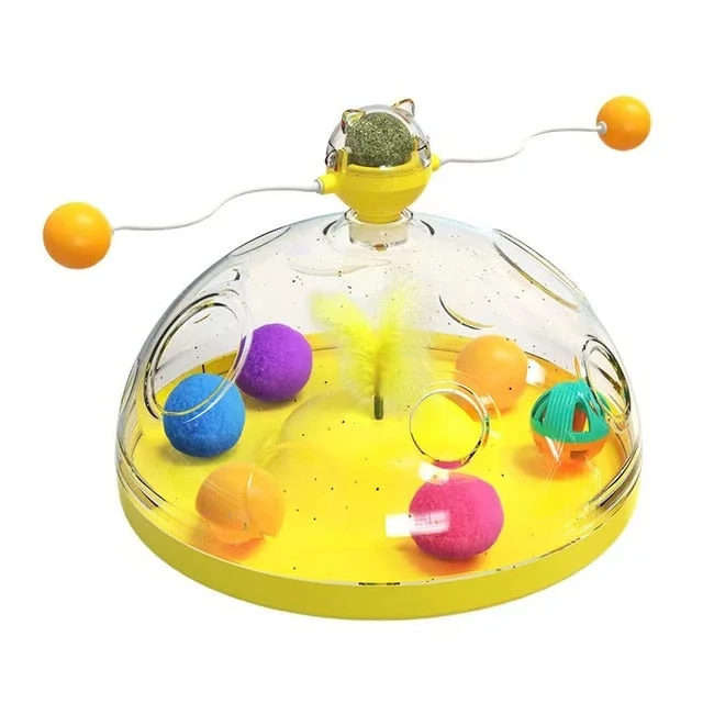 Yellow : Pet Play Center