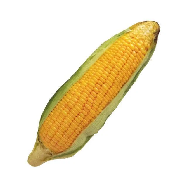 Corn