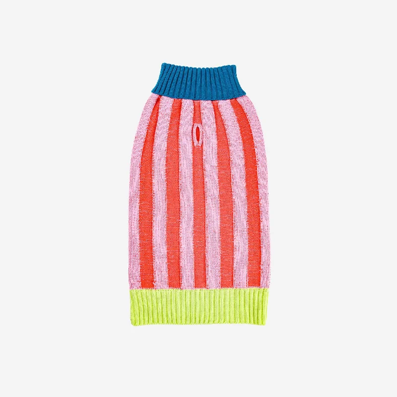 Big Stripe Dog Sweater