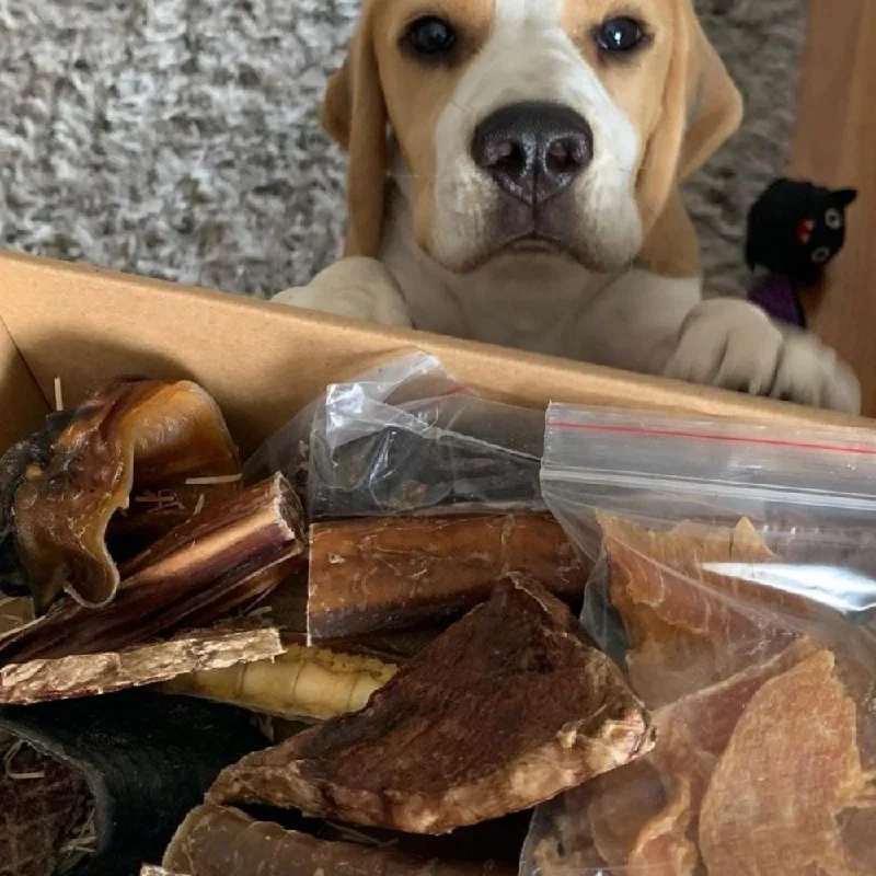 Birthday Gotcha Day Box - Meat Treats