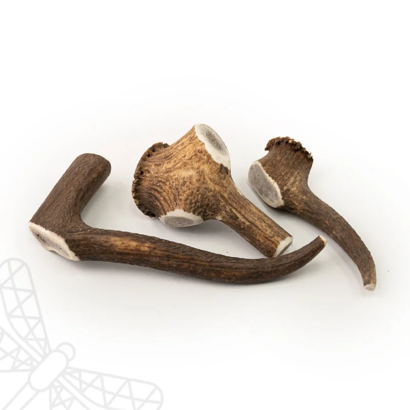 Deer Antler