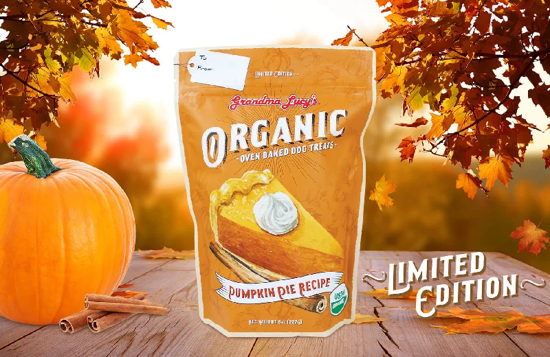 Organic Pumpkin Pie