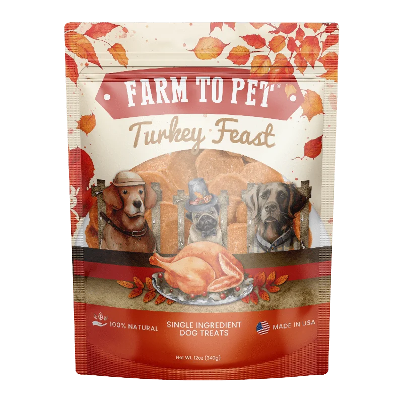 Turkey Feast Chips